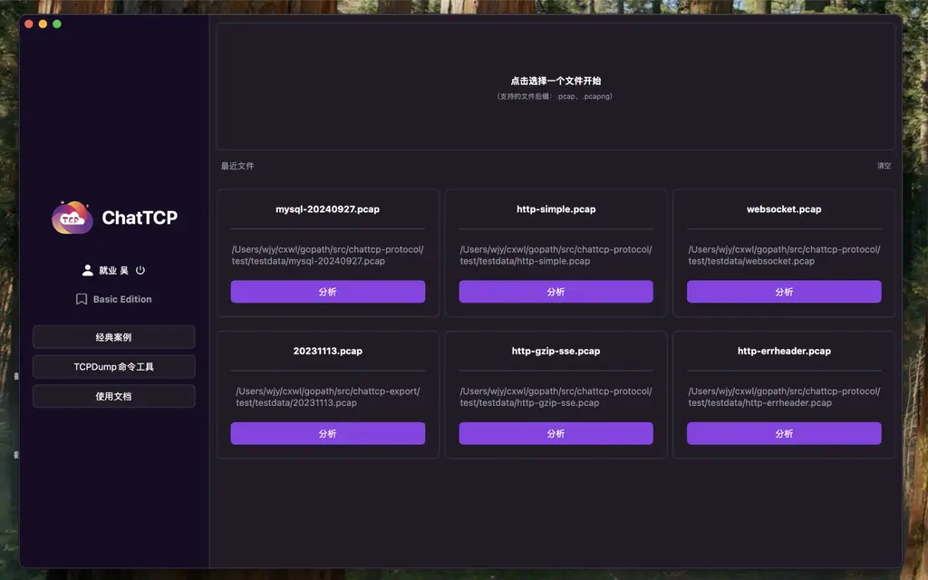 ChatTCP: The Simplest and Most User-Friendly TCP Analysis Tool