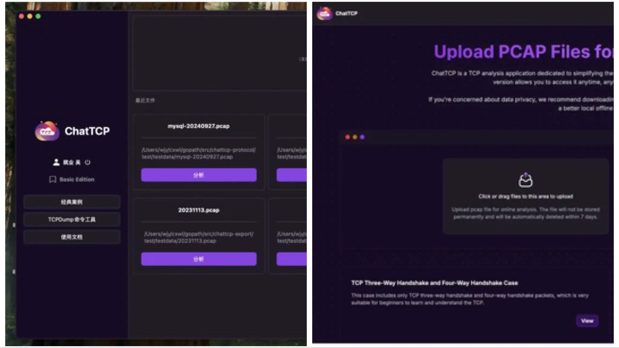 What are the differences between ChatTCP online version and offline app?
